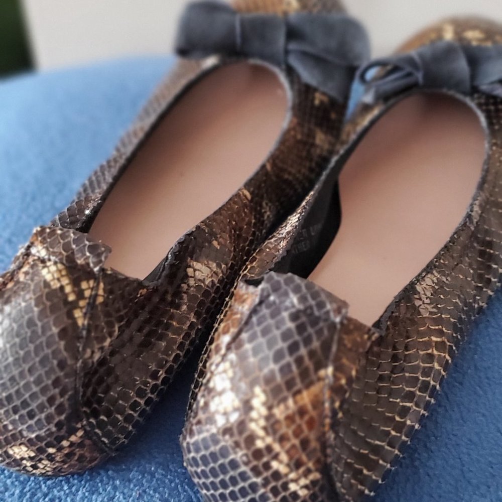 snake pattern shoe